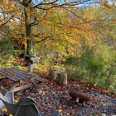 Chalet Tropical Avec Bain A Bulles - In The Woods Gesves Exterior foto
