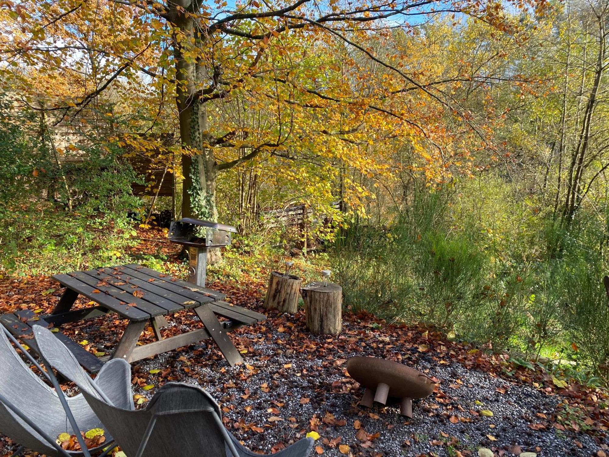 Chalet Tropical Avec Bain A Bulles - In The Woods Gesves Exterior foto